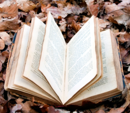 How Autumn Classics Reflect Seasonal Moods